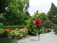 ローズガーデン